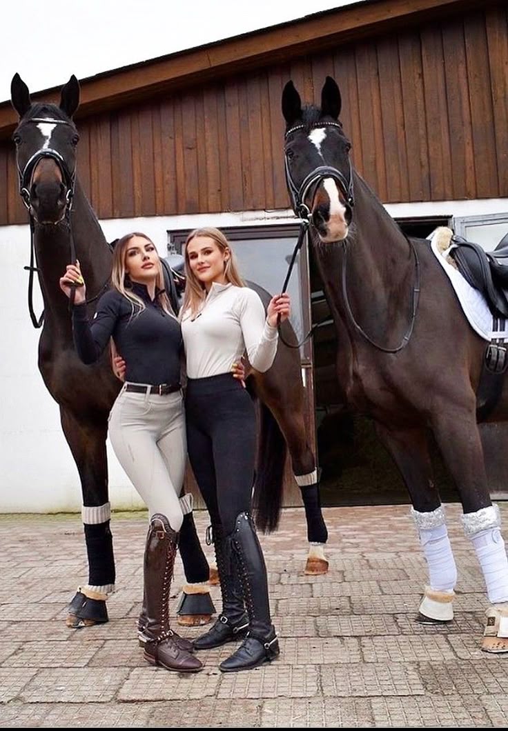 The Equestrian Shop -The Equestrian Shop 2ea09df2106821ab098688f81a3545b0