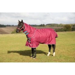 Shires Highlander Plus 300G Standard Neck Turnout - Raspberry