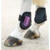 Shires ARMA Fetlock Boots - Black/Plum -The Equestrian Shop 312204 800 800