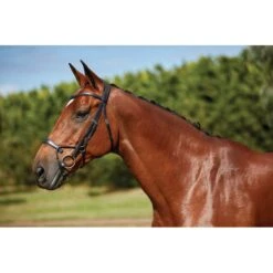 Collegiate Comfitec Training Bridle - Black -The Equestrian Shop 322013 800 800