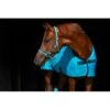 Amigo Halter - Delphinium Blue/Navy -The Equestrian Shop 342214 800 800