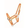 Western Rawhide Country Legend Soft-Touch Halter - Orange -The Equestrian Shop 360425 800 800
