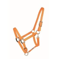 Western Rawhide Country Legend Soft-Touch Halter - Orange