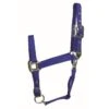 Western Rawhide Signature Classic Halter W/Snap - Blue -The Equestrian Shop 360829 800 800