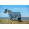 Amigo AmEco Bravo 12 Plus Turnout 0g - Teal/Grey -The Equestrian Shop 399907 800 800
