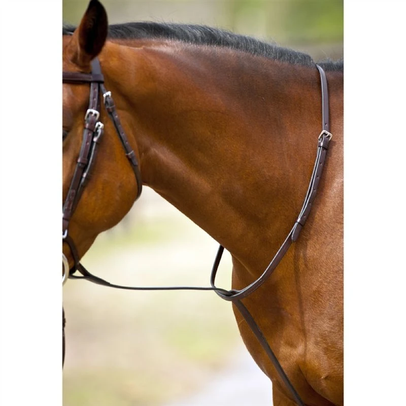Nunn Finer Standing Martingale - Havana/Brass 4 Nunn Finer Standing Martingale - Havana/Brass - Image 2