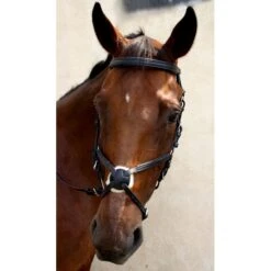 Nunn Finer Fairhill Figure 8 Event Bridle - Black/Zinc -The Equestrian Shop 404416 800 800