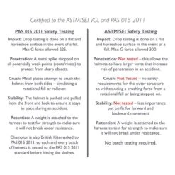 Champion Evolution Pearl Helmet - Black 9 Champion Evolution Pearl Helmet - Black -The Equestrian Shop 405399 800 800