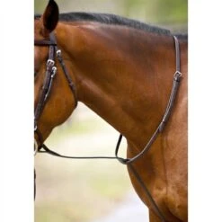 Nunn Finer Standing Martingale - Havana/Zinc -The Equestrian Shop 406808 800 800