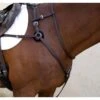 Nunn Finer Breastplate Attachment With Neck Strap - Black/Brass -The Equestrian Shop 408015 800 800