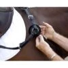 Nunn Finer Replacement Breastplate Fleece - Natural 1 Nunn Finer Replacement Breastplate Fleece - Natural -The Equestrian Shop 408979 800 800