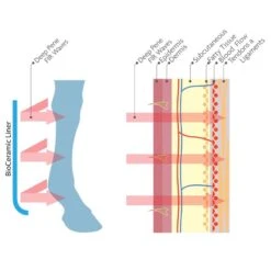 Woof Wear Stable Boots W/Bio-Ceramic Liners - Black 7 Woof Wear Stable Boots W/Bio-Ceramic Liners - Black -The Equestrian Shop 409939 800 800