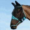 Weatherbeeta Comfitec Fine Mesh Mask W/Ears & Nose - Black/Turquoise -The Equestrian Shop 413282 800 800