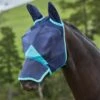 Weatherbeeta Comfitec Fine Mesh Mask W/Ears & Nose - Navy/Turquoise 1 Weatherbeeta Comfitec Fine Mesh Mask W/Ears & Nose - Navy/Turquoise -The Equestrian Shop 413380 800 800