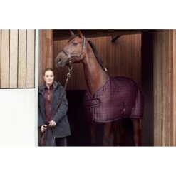 Catago Women's Malena Jacket - Black -The Equestrian Shop 423705 800 800