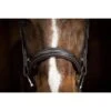 Ovation ATS Fancy Raised Wide Noseband Bridle - Dark Brown -The Equestrian Shop 433865 800 800