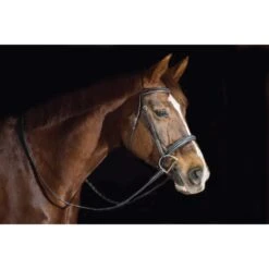 Ovation ATS Fancy Raised Wide Noseband Bridle - Dark Brown -The Equestrian Shop 433867 800 800