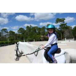 Ovation Metallic Schooler Helmet - Teal -The Equestrian Shop 437976 800 800