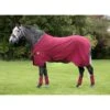 Rambo Helix Disc Front Stable Sheet - Burgundy/Burgund/Teal/Navy -The Equestrian Shop 442011 800 800