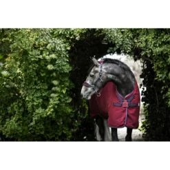 The Equestrian Shop -The Equestrian Shop 442012 800 800