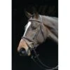 Collegiate Comfort Crown Padded Raised Flash Bridle - Brown -The Equestrian Shop 442174 800 800