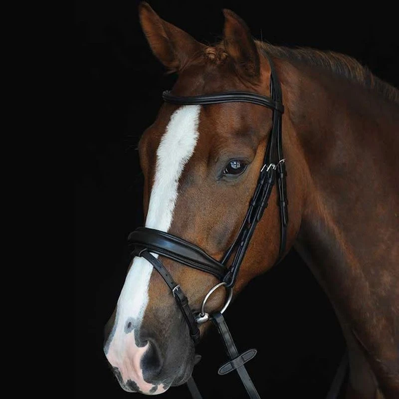 Collegiate Mono Crown Padded Raised Flash Bridle - Black 3 Collegiate Mono Crown Padded Raised Flash Bridle - Black