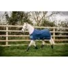 Amigo Hero 900 Pony Turnout 200g - Dark Blue/Capri/Raspberry 1 Amigo Hero 900 Pony Turnout 200g - Dark Blue/Capri/Raspberry -The Equestrian Shop 445289 800 800