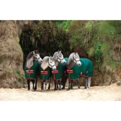 Rambo Original Turnout 400g - Green/Red -The Equestrian Shop 446649 800 800