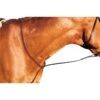 Kincade Flat Standing Martingale II - Brown -The Equestrian Shop 451955 800 800
