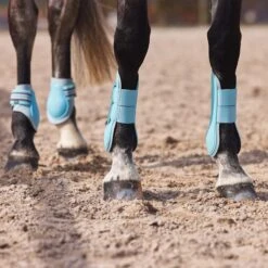 Horze Adepto Tendon Boots - Canal Blue -The Equestrian Shop 454322 800 800
