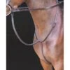 Shires Rossano Standing Martingale - Havana -The Equestrian Shop 469755 800 800