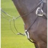 Shires Avignon Five Point Breastplate - Havana -The Equestrian Shop 471278 800 800