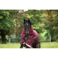 Rambo Original Hood 0g - Burgundy/Burgundy/Teal/Navy -The Equestrian Shop 471519 800 800