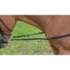Shires Avignon Leather & Elastic Side Reins - Black -The Equestrian Shop 472702 800 800