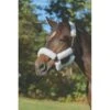 Shires ARMA Supafleece Halter Set - White -The Equestrian Shop 472798 800 800