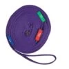 Kincade Two Tone Lunge Line With Circle Markers - Purple/Black -The Equestrian Shop 474511 800 800