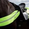 Horze Reflective Harness - Yellow -The Equestrian Shop 479611 800 800