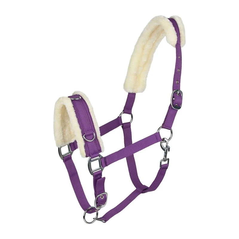 Horze Lunging Cavesson - Purple 3 Horze Lunging Cavesson - Purple