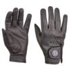 Dublin Everyday Quality Leather Gloves - Black 2 Dublin Everyday Quality Leather Gloves - Black -The Equestrian Shop 482793 800 800