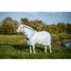 Amigo XL Bug Rug - Azure Blue/Altanic Blue/Ivory -The Equestrian Shop 485124 800 800