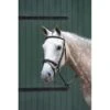 Collegiate Essential Padded Raised Flash Bridle - Brown -The Equestrian Shop 487662 800 800