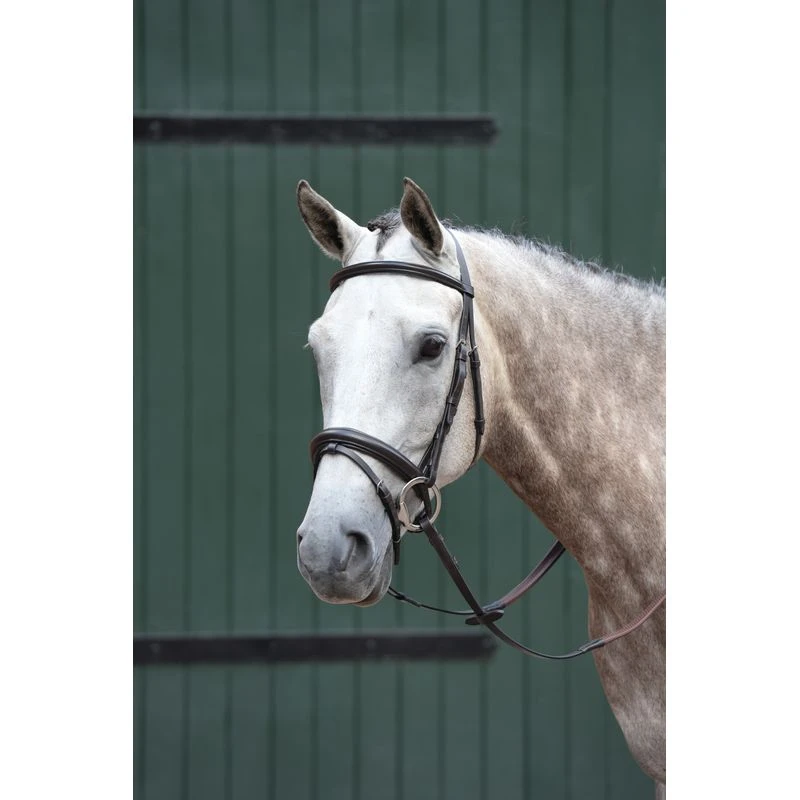 Collegiate Essential Padded Raised Flash Bridle - Brown 3 Collegiate Essential Padded Raised Flash Bridle - Brown
