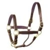 Perri's 1" Padded Leather Halter - Havana/Brown -The Equestrian Shop 500345 800 800
