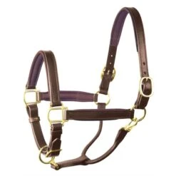 Perri's 1" Padded Leather Halter - Havana/Brown