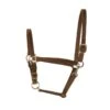 Perri's 3/4" Leather Turnout Halter - Havana -The Equestrian Shop 503744 800 800
