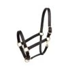 Perri's 1" Leather Turnout Halter - Black -The Equestrian Shop 504173 800 800