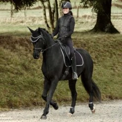 Horze Adepto All Purpose Saddle Pad - Black 7 Horze Adepto All Purpose Saddle Pad - Black -The Equestrian Shop 533364 800 800