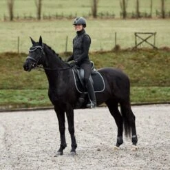 Horze Adepto Fetlock Boots - Black 9 Horze Adepto Fetlock Boots - Black -The Equestrian Shop 533529 800 800