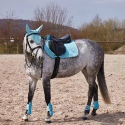 Horze Adepto Ear Net - Canal Blue 6 Horze Adepto Ear Net - Canal Blue -The Equestrian Shop 541538 800 800