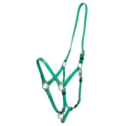 Zilco Deluxe Endurance Bridle/Halter Cavesson Only - Green